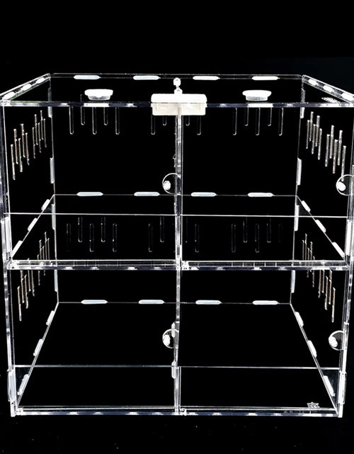 Load image into Gallery viewer, 4 Grids Acrylic Pet Lizard Crawling Box Reptile Tank Insect Spiders Lizard Breeding
