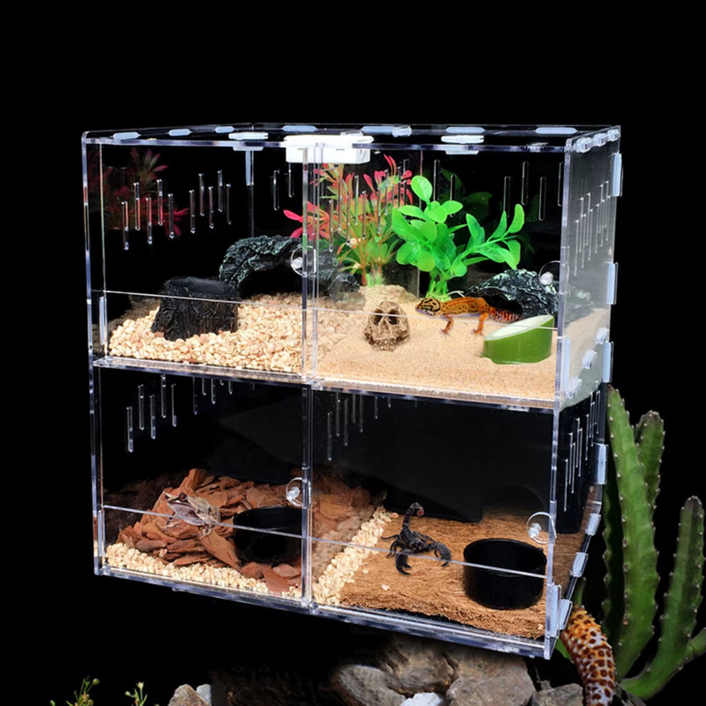 4 Grids Acrylic Pet Lizard Crawling Box Reptile Tank Insect Spiders Lizard Breeding